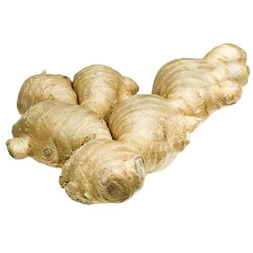 Premium Fresh Ginger, Bulk Wholesale Export Grade, Affordable Price - Image 3