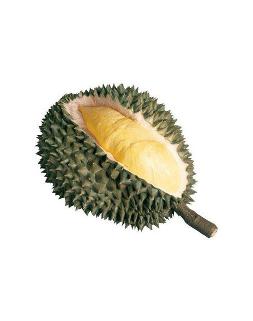premium quality golden pillow durian new crop best for wholesales LQF frozen Monthong durian - Image 2