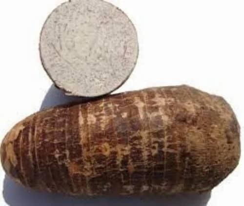 Premium Fresh Taro Root | Bulk Supply of High-Quality Edible Taro for Food Processing and Export Whatsap +255787979235 - Image 2