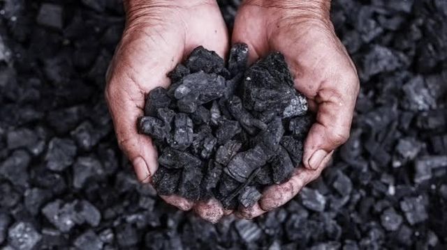 Petroleum Coke (Petcoke) - Image 1