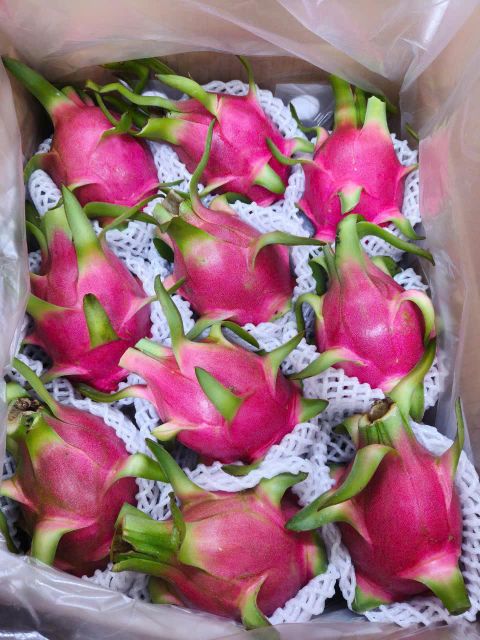Dragon Fruit - Image 5