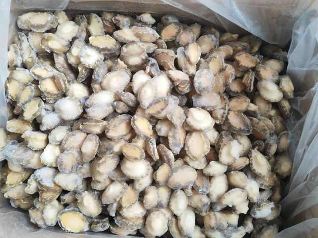 frozen abalone Form Frozen Texture Meat Packaging 10kg Species Abalone Shelf Life 2 year Shell Included Yes Processing Method Boiled - Image 2