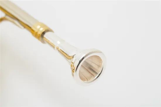 Good French Horn 4key Double Detachable Bell - Image 4