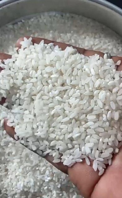 Basmati and Non Basmati Rice - Image 5