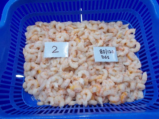 pud deep sea shrimp - Image 3