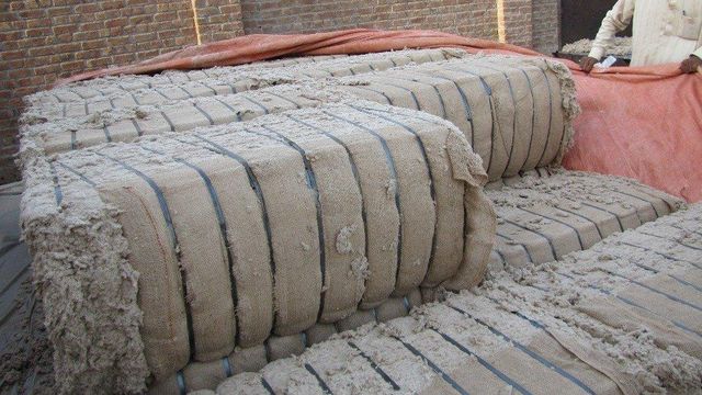 PREMIUM RAW COTTON BALES SUPPLIER - Image 3