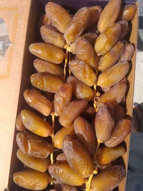 Premium Tunisian Kurma Deglet Nour Dates 2026 - Image 6