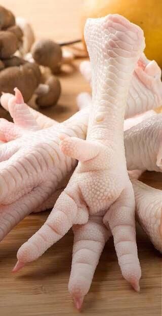 Frozen Chicken Leg / Frozen Chicken Feet & Paws - Image 1