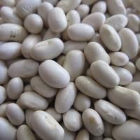 White Butter Beans - Image 1