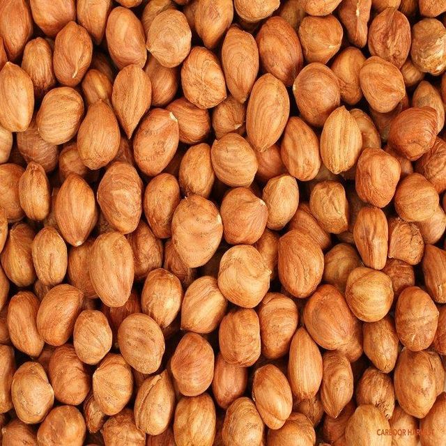 Best selling hazelnut nuts in bulk raw roasted blanched or in shell premium product with fast global shipping and low MOQ - Image 5