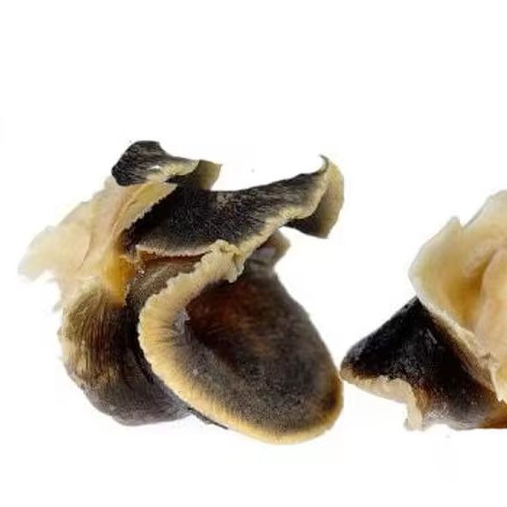 Frozen Conch seafood / abalone +27739729209 Grade A Shape Piece Style FROZEN Content Conch Brand Name KBS Manufacturer - Image 1