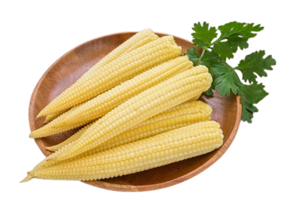 Canned Baby Corn Place of Origin Viet - Image 2