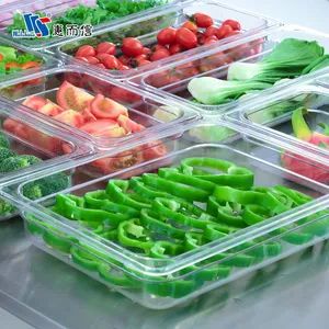 Kitchen Equipment Tool Food Storage Containers with Cover Plastic Food Pans - Image 4