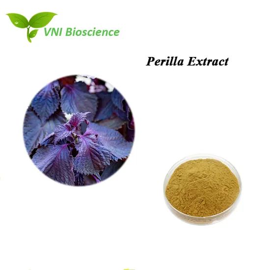 ISO Kosher Certified 100 Natural Perilla Extract - Image 1