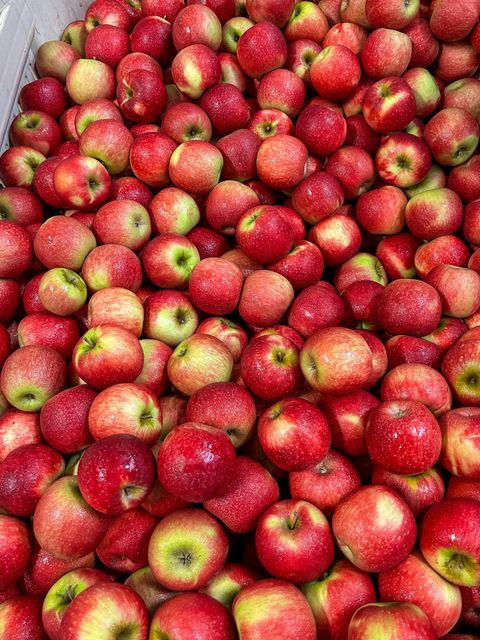 Fresh Quality Joya Apples for sale - Image 2