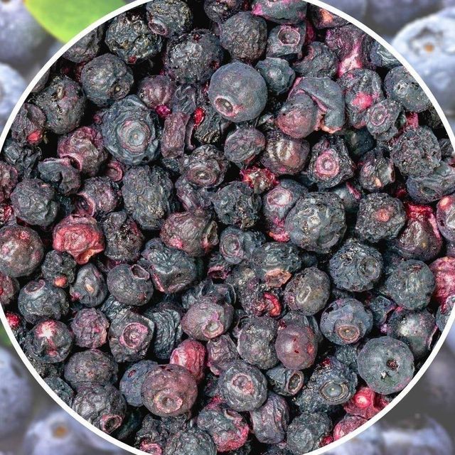 Freeze Dried Blueberries Full Of Natural Flavor And Nutrition Dried Blueberries Available For Export - Image 3