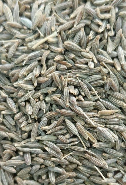 Cumin Seeds Moisture 10% Total Ash 9% Broken Seeds 5% Foreign Matter 1% Acid-insoluble Ash ≤1.5% Yeasts And Molds 10³ Cfu/g - Image 4