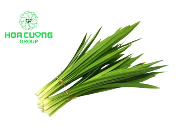 Frozen Fresh Pandan Leaves Color Vivid Green Form Frozen Leaves Aroma Natural Aroma Flavor Sweet, Floral Place of Origin Viet Nam - Image 2