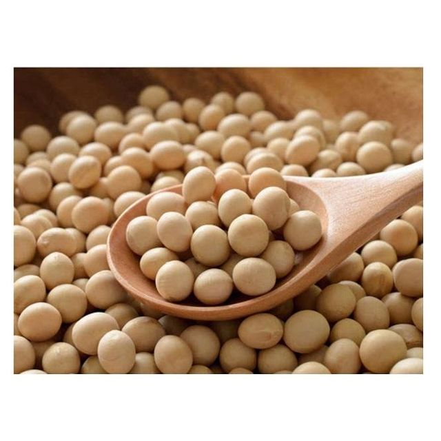 High Protein Yellow Soybean Soya Beans / Soy Bean For Sale Origin Other Features Organic Degree of Processing Dried, Raw - Image 3