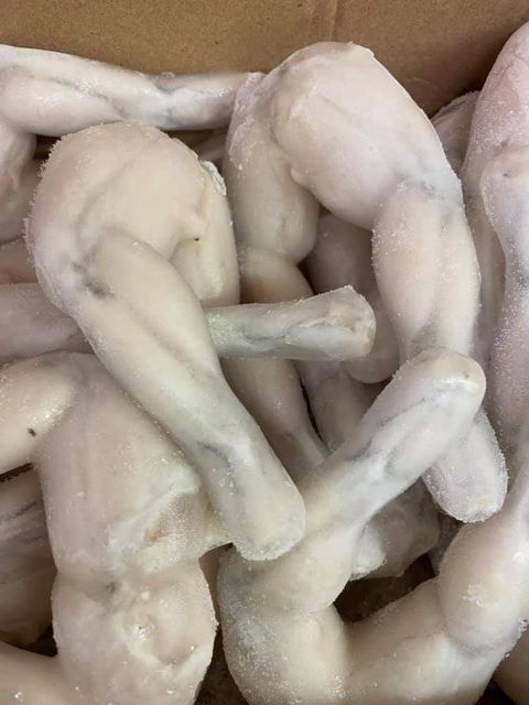 Best Selling Frozen Frog Legs Hoplobatrachus Rugluosus From Vietnam Manufacture - Image 5