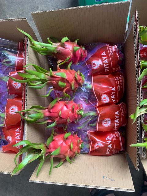 FRIST GRADE - PREMIUM QUALITY DRAGON FRUITS From Vietnam For Export WHATSAP 0084 989 322 607 - Image 3