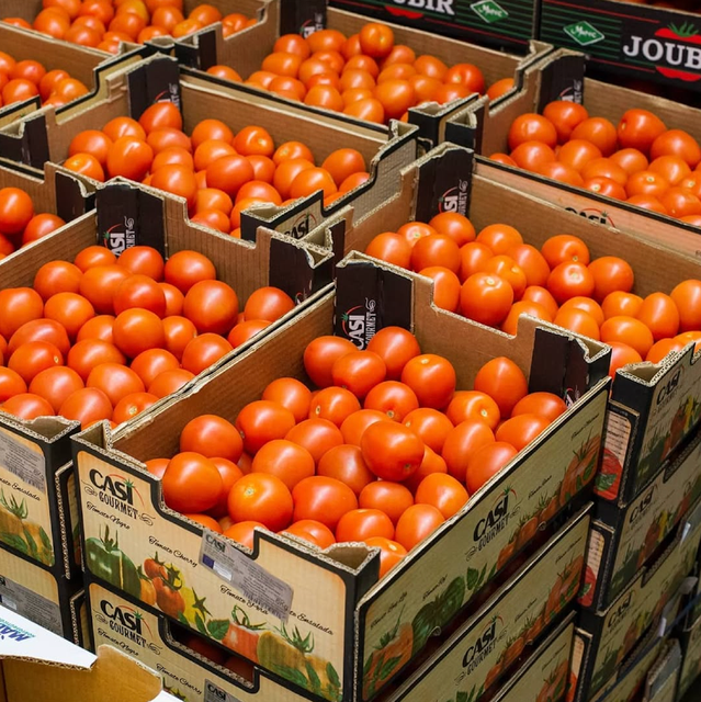 BUY PREMIUM FRESH RICH TASTE RED TOMATOES BRANDS EXPORT QUALITY 5.45Kg CARTONS - Image 3