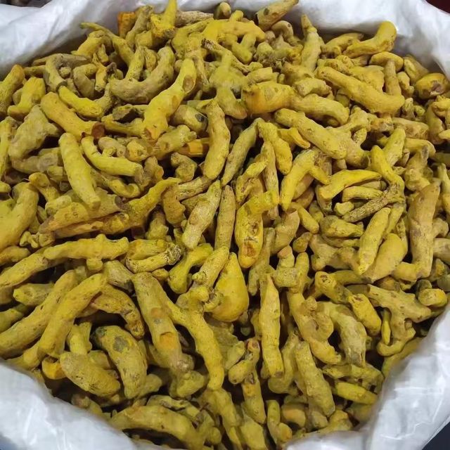 Whole Turmeric Roots With Strong Turmeric Essence Ideal For Food Processing And Health Supplement Applications - Image 5