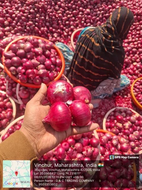 premium export quality fresh onions - Image 1
