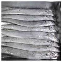 Fresh Frozen Ribbon Fish - Image 1