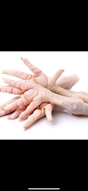 Frozen Whole Chicken / Feet / Paws / Wings / drum stick / Frozen Chicken Feet - Image 3