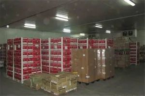 Fruit Fresh Cold Room Cold Storage - Image 3