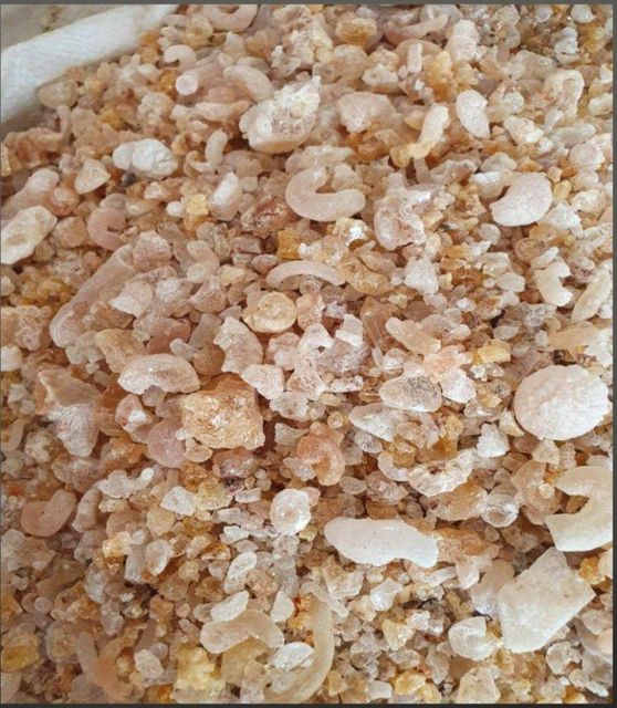 Gum Arabic - Image 2