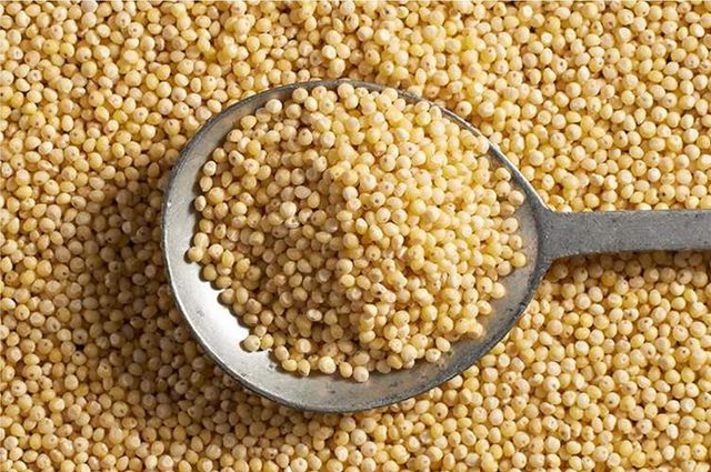 Millet - Flour, Grain - Nutrition Facts, Calories, Millet Grains Stock Ingredient Spotlight: Millet - Image 4