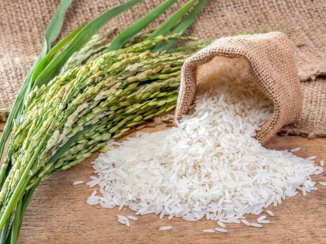 Premium Aromatic Parboiled Basmati Rice | Pakistani Wholesale Exporter of Basmati & Non-Basmati Rice - Image 3