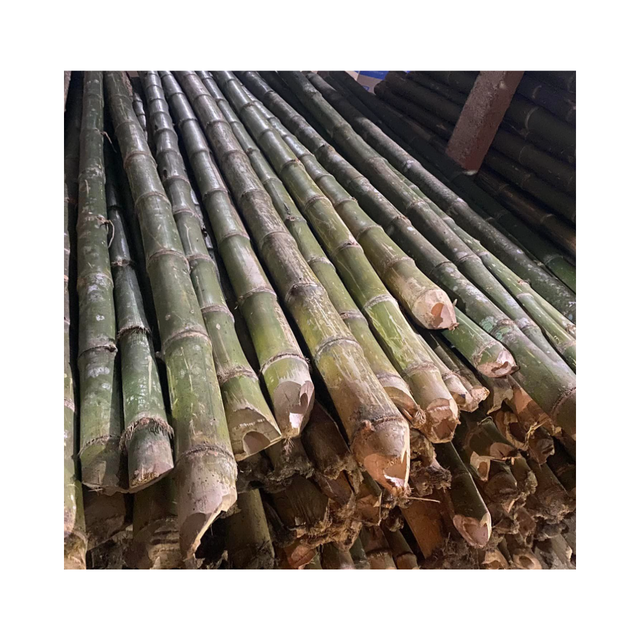 BAMBOO POLE FOR OUTDOOR CONSTRUCTION Packaging Details BUNCH IN PP - Image 6
