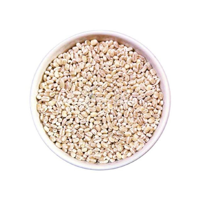 Wholesale barley grain bulk stock for breweries food and feed - Image 3