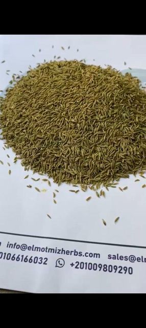Cumin Seeds Freshness Level Dried - Image 2