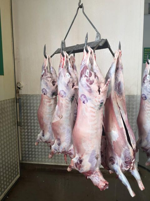 South African Lamb Origin South Africa Type Chilled and Frozen Beef Place of Origin South Africa Product Type Lamb And Mutton - Image 2