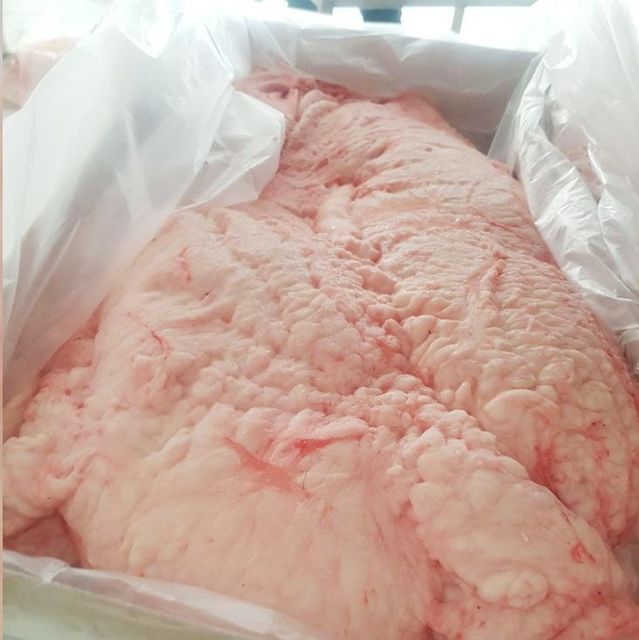 Top Quality Lamb Tail Fat Grade A Shelf Life 8 months Certifications Haccp, Iso, Halal Processing Temperature… - Image 1