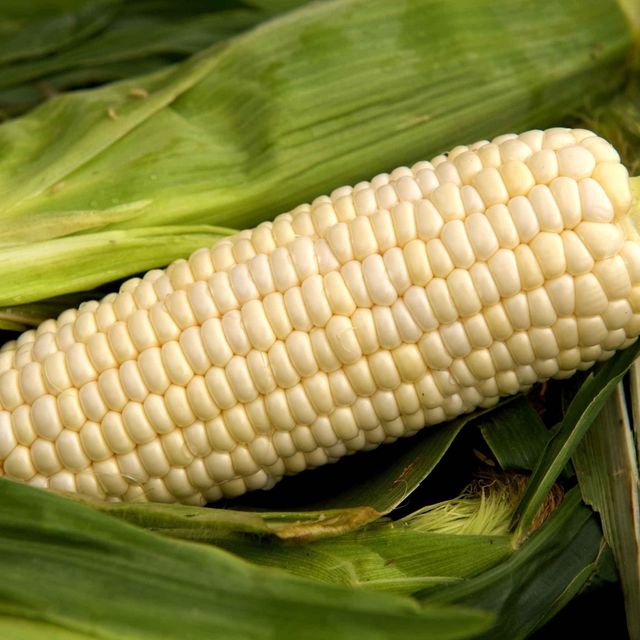 Export quality White Corn offered in bulk quantities for food processors where White Corn supports stable sourcing - Image 4