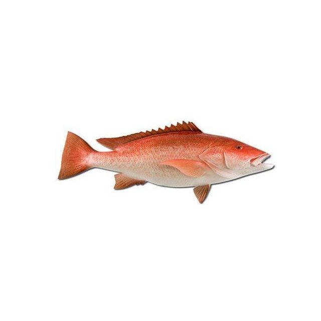 Fresh frozen whole Frozen Red snapper fish best wholesale price in market - Image 5
