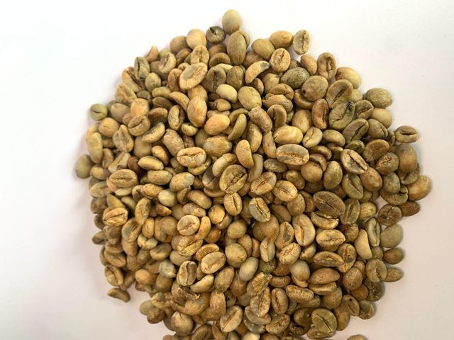 green beans Robusta - Image 2