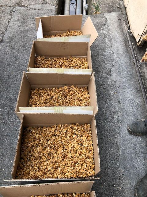 Cheap Wholesale Other Price Trade Nuts and Dried Mixed Fruits Drying Import Nuts Walnuts Raw in Shell - Image 3