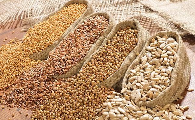 Oil Seeds - Image 1