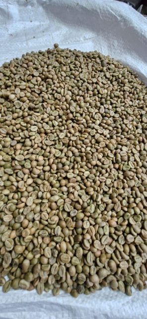 Coffee & Coffee Bean – product photo 5, product detail gallery