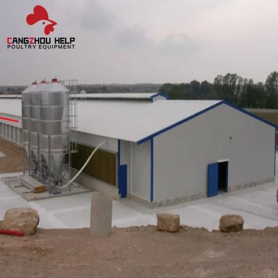 Modernization Steel Structure Building Chicken Coop for Poultry Farming - Image 3