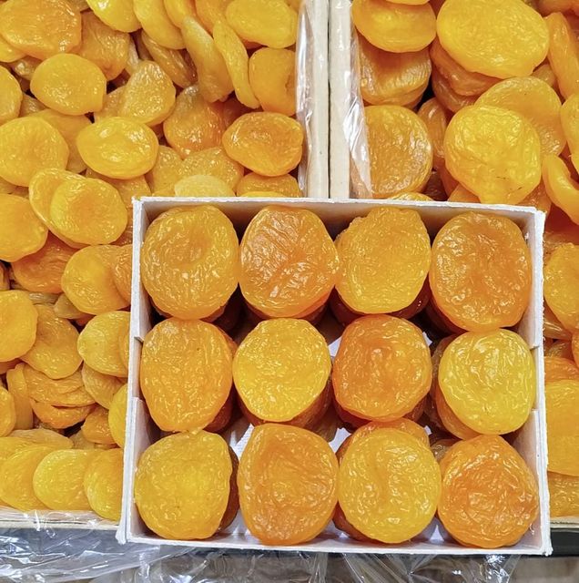 Apricot - Image 1