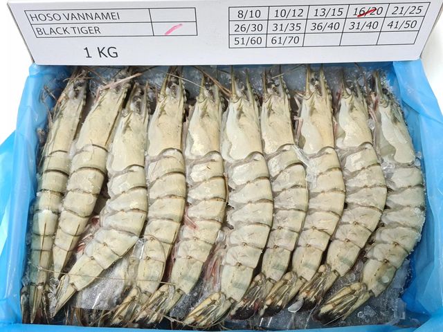 Frozen Black tiger Shrimp Headless Sell on France / Top Selling Headless tiger Shrimp Exported in Bulk - Image 4