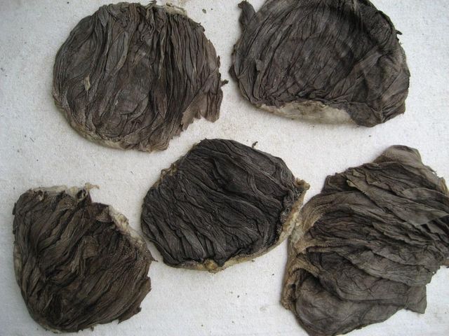 Halal Premium Quality Salted Dried Beef Omasum Organic Nature Feature Dried Style Bulk Packaging with Comprehensive - Image 3
