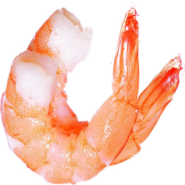 Frozen Fresh Red Shrimps Premium Frozen Seafood With 98% Quality Selection For Professional Food Supply - Image 2